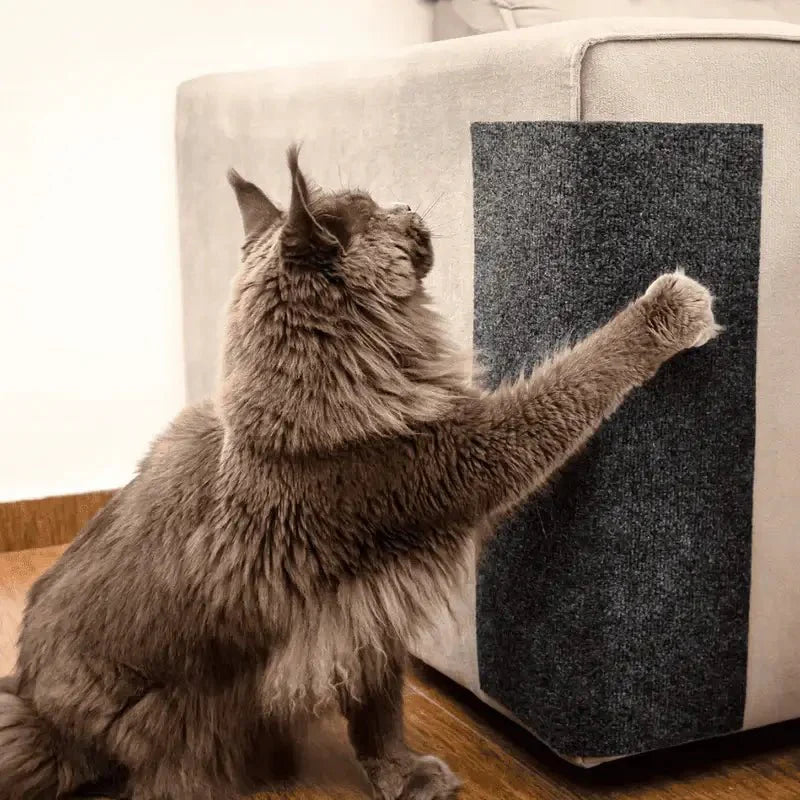 Carpete Protetor Multiuso para Gatos FurBlock™ - Use em móveis, portas e paredes!