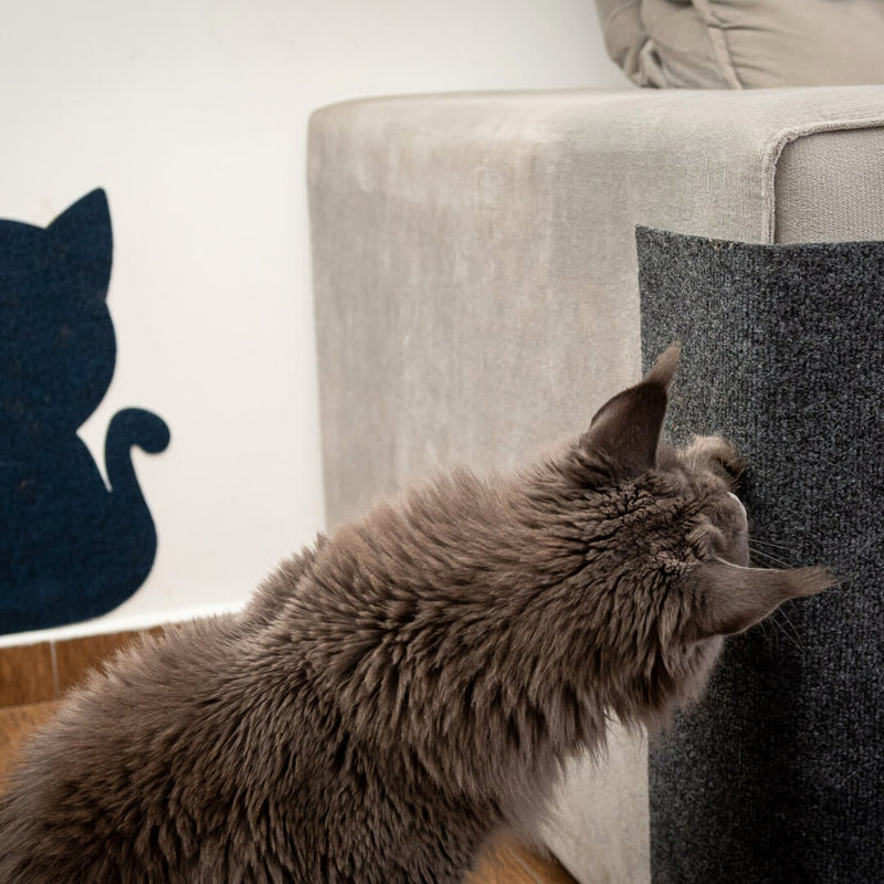 Carpete Protetor Multiuso para Gatos FurBlock™ - Use em móveis, portas e paredes!