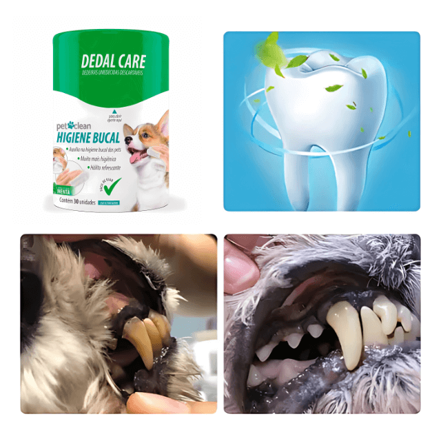 Cuidar dos dentes nunca foi tão fácil. Lenços de Limpeza Odontológica para Pets