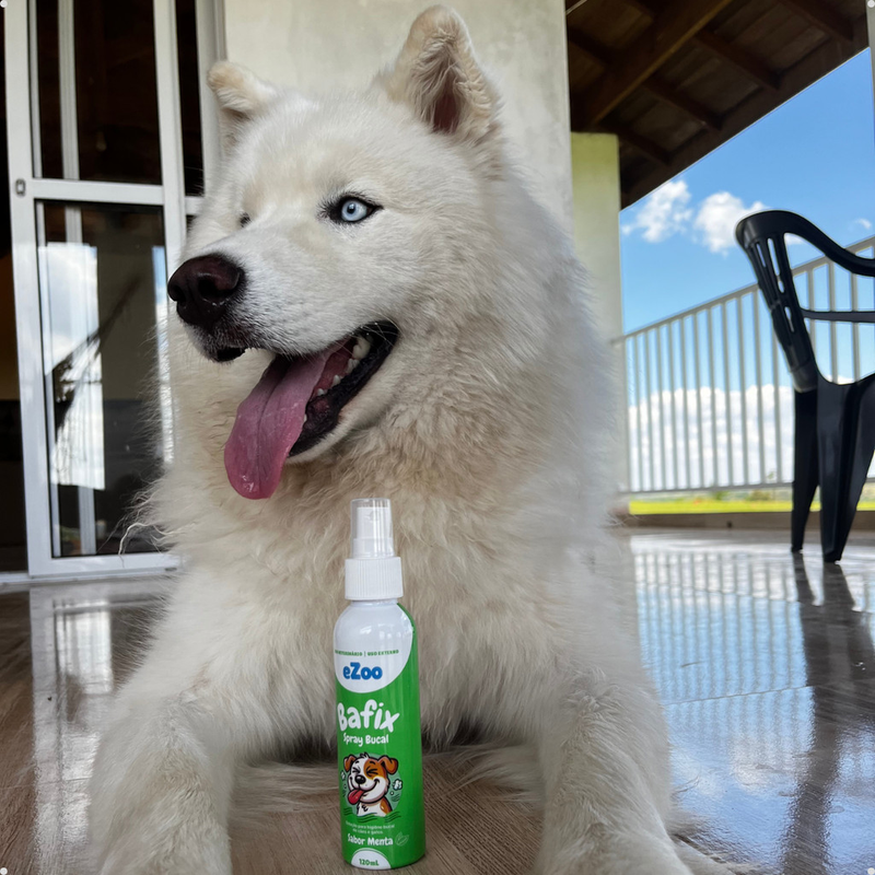 Spray Bucal Premium para Cães e Gatos – 120ml | Higiene e Hálito Fresco